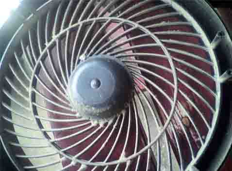 ���̍��̖l�́E�E�E�E�E������������́H