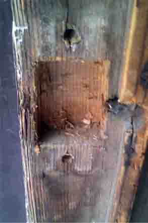 ���̍��̖l�́E�E�E�E�E������������́H