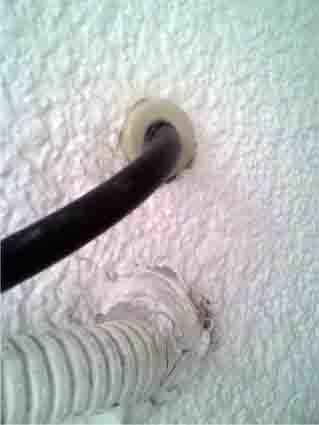 ���̍��̖l�́E�E�E�E�E������������́H