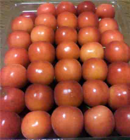 ���̍��̖l�́E�E�E�E�E������������́H