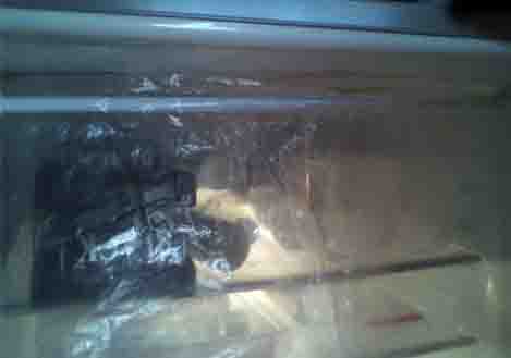 ���̍��̖l�́E�E�E�E�E������������́H