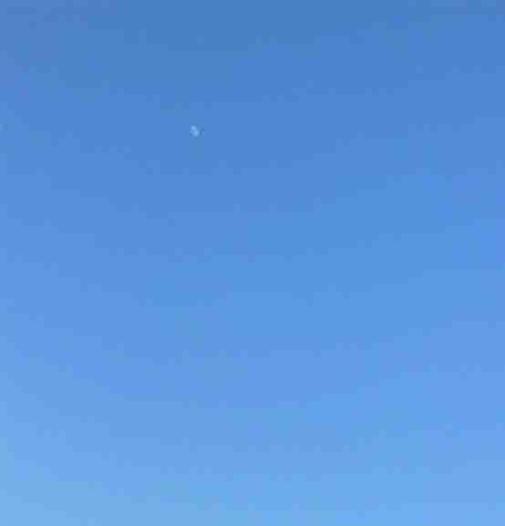 ���̍��̖l�́E�E�E�E�E������������́H