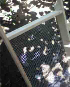 ���̍��̖l�́E�E�E�E�E������������́H