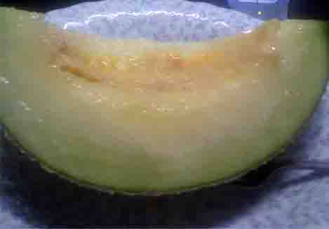 ���̍��̖l�́E�E�E�E�E������������́H