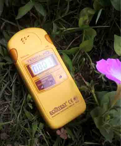 ���̍��̖l�́E�E�E�E�E������������́H