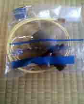 ���̍��̖l�́E�E�E�E�E������������́H