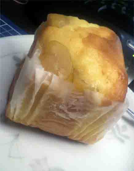 ���̍��̖l�́E�E�E�E�E������������́H