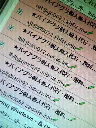 ���̍��̖l�́E�E�E�E�E������������́H