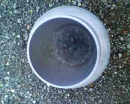 ���̍��̖l�́E�E�E�E�E������������́H