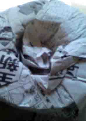 ���̍��̖l�́E�E�E�E�E������������́H