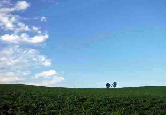 ���̍��̖l�́E�E�E�E�E������������́H