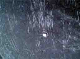 ���̍��̖l�́E�E�E�E�E������������́H