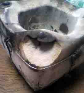 ���̍��̖l�́E�E�E�E�E������������́H