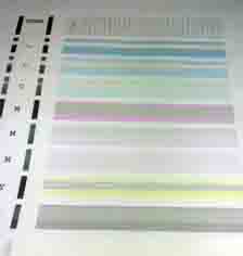 ���̍��̖l�́E�E�E�E�E������������́H