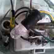 ���̍��̖l�́E�E�E�E�E������������́H