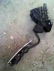 ���̍��̖l�́E�E�E�E�E������������́H