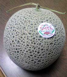 ���̍��̖l�́E�E�E�E�E������������́H