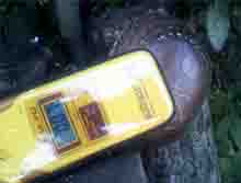 ���̍��̖l�́E�E�E�E�E������������́H