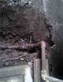 ���̍��̖l�́E�E�E�E�E������������́H