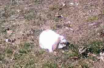 ���̍��̖l�́E�E�E�E�E������������́H