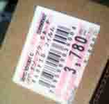 ���̍��̖l�́E�E�E�E�E������������́H