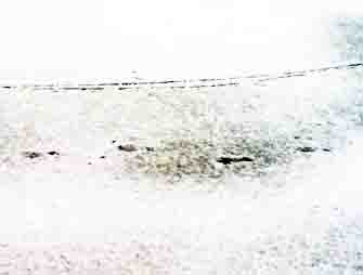 ���̍��̖l�́E�E�E�E�E������������́H