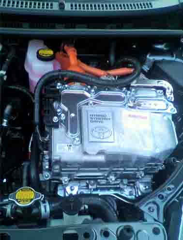 ���̍��̖l�́E�E�E�E�E������������́H