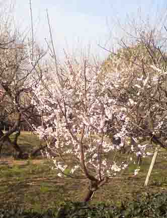 ���̍��̖l�́E�E�E�E�E������������́H