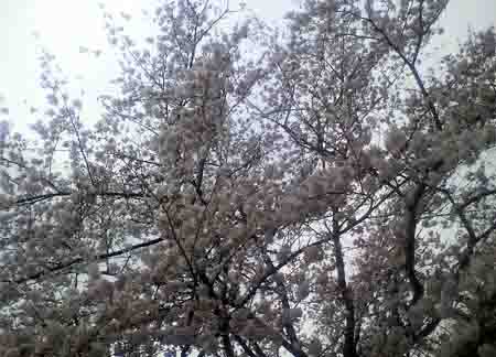 ���̍��̖l�́E�E�E�E�E������������́H