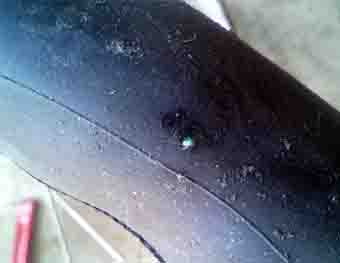 ���̍��̖l�́E�E�E�E�E������������́H