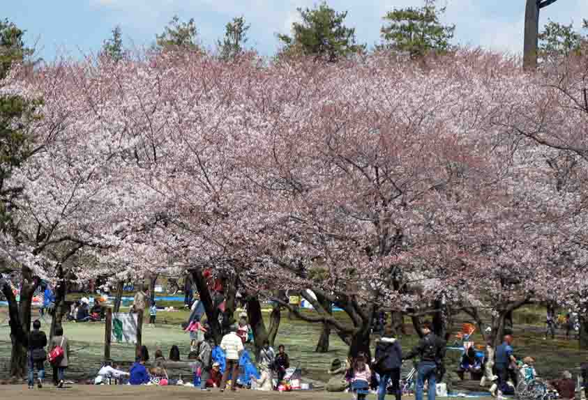 ���̍��̖l�́E�E�E�E�E������������́H