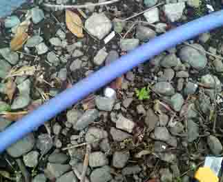 ���̍��̖l�́E�E�E�E�E������������́H