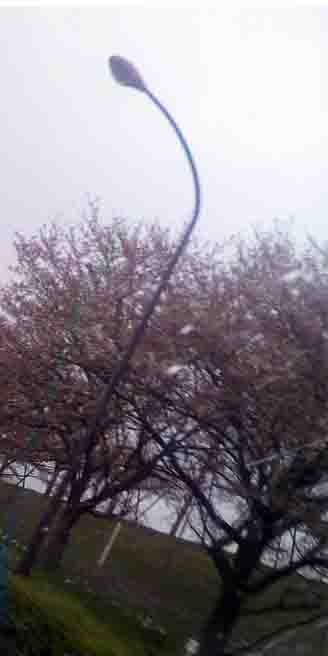 ���̍��̖l�́E�E�E�E�E������������́H