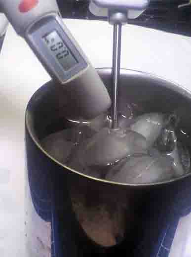 ���̍��̖l�́E�E�E�E�E������������́H