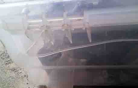 ���̍��̖l�́E�E�E�E�E������������́H