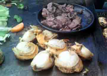 ���̍��̖l�́E�E�E�E�E������������́H