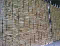 ���̍��̖l�́E�E�E�E�E������������́H