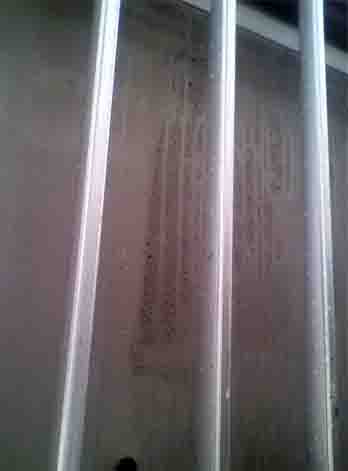 ���̍��̖l�́E�E�E�E�E������������́H