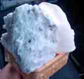 ���̍��̖l�́E�E�E�E�E������������́H