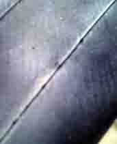 ���̍��̖l�́E�E�E�E�E������������́H