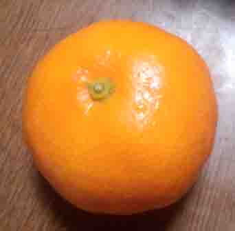 ���̍��̖l�́E�E�E�E�E������������́H