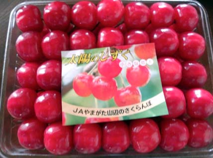 ���̍��̖l�́E�E�E�E�E������������́H