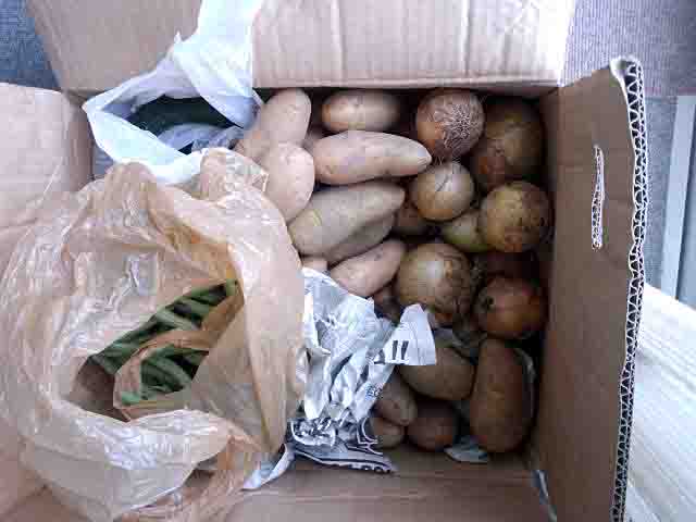 ���̍��̖l�́E�E�E�E�E������������́H