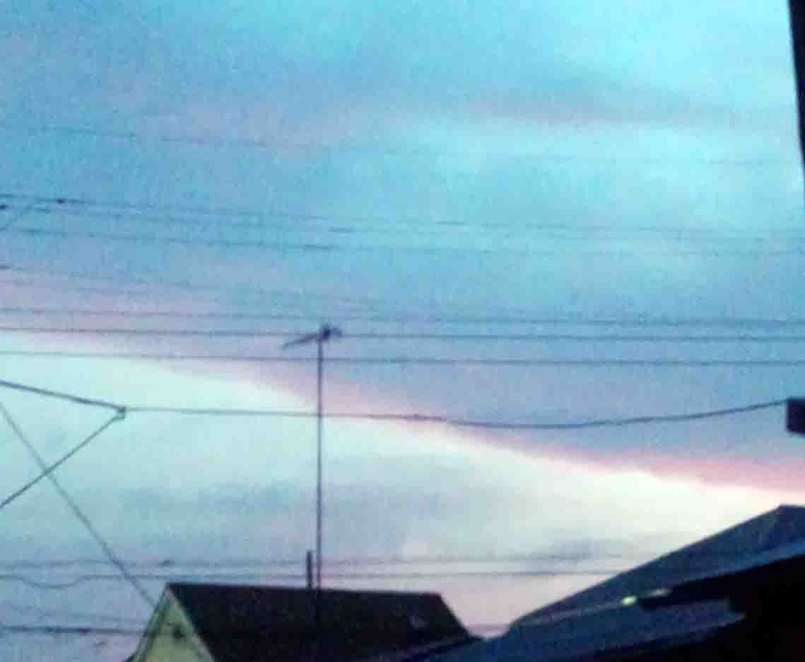 ���̍��̖l�́E�E�E�E�E������������́H