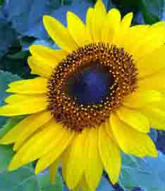 ���̍��̖l�́E�E�E�E�E������������́H