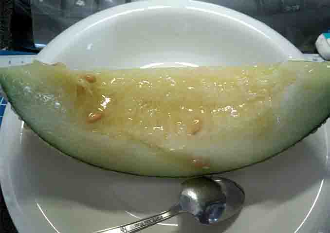 ���̍��̖l�́E�E�E�E�E������������́H