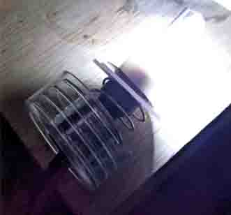 ���̍��̖l�́E�E�E�E�E������������́H