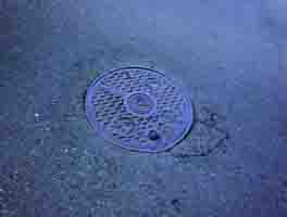 ���̍��̖l�́E�E�E�E�E������������́H