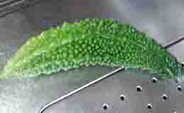 ���̍��̖l�́E�E�E�E�E������������́H