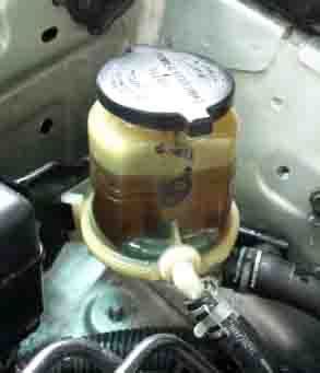 ���̍��̖l�́E�E�E�E�E������������́H